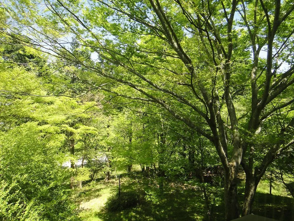 Top Resort Hakone Onsen Goku No Yado Ryokan